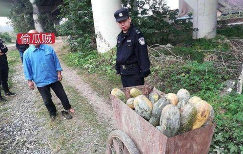 泗水县吃瓜事件视频曝光,视频曝光揭示惊人真相