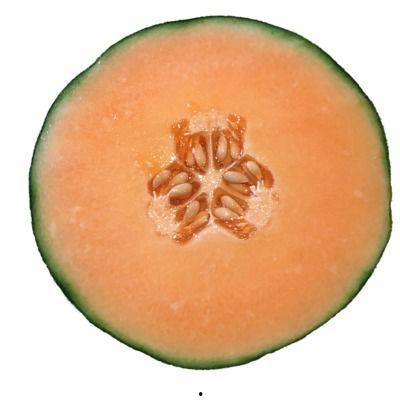 吃哈密瓜的小红帽视频大全,小红帽们的甜蜜冒险视频大盘点