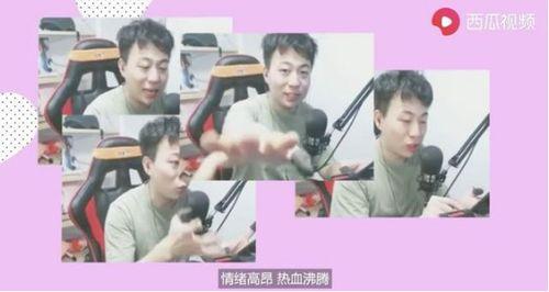 吃瓜直播小说解说全集视频,揭秘热门小说背后的故事与精彩瞬间