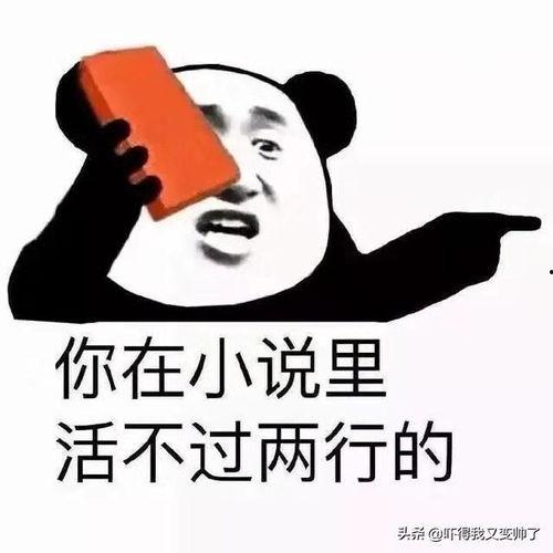 骂人吃瓜视频搞笑版,笑料百出，网友直呼过瘾