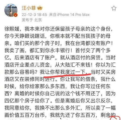 于正吃瓜汪小菲视频合集,吃瓜视频合集大揭秘