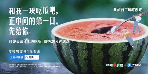 吃瓜文案视频,揭秘吃瓜文案背后的趣味与智慧