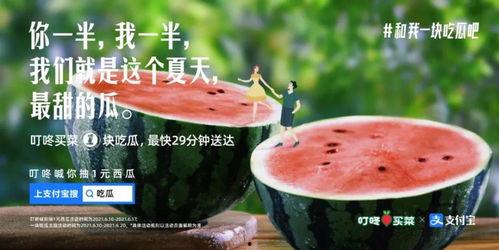 吃瓜文案视频,揭秘吃瓜文案背后的趣味与智慧