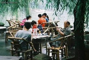 成都户外吃瓜事件视频,街头奇观引发热议