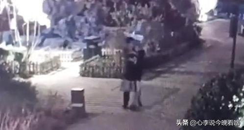 吃瓜投稿完整视频,一场视觉盛宴背后的故事
