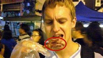 外国人看边境吃瓜视频,趣味与文化的碰撞