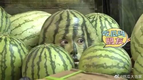 王鹤棣吃瓜视频,揭秘娱乐圈幕后故事