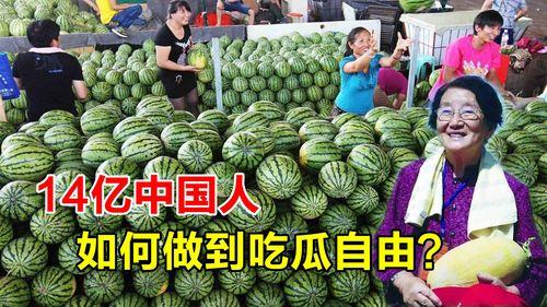 实现吃瓜自由视频,短视频时代的娱乐狂欢与反思