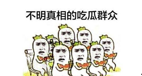 吃瓜群众完美还原视频,吃瓜群众视角下的视频精彩瞬间回顾