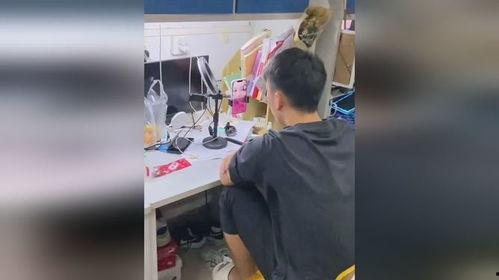男人吃连环瓜视频大全,趣味横生的美食盛宴