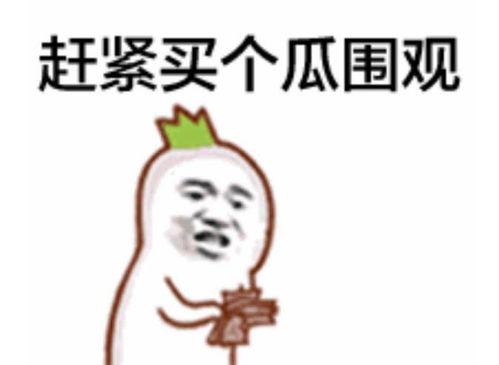 定远吃瓜群众新闻视频,最新新闻视频揭秘事件真相
