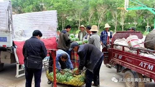 古镇吃瓜群众事件视频大全,视频大全背后的热议与真相