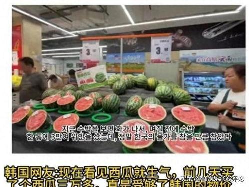一场吃瓜大戏全集视频,一场全民围观的热闹盛宴