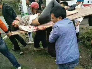 贵州吃瓜事件视频,一场引发热议的街头冲突瞬间