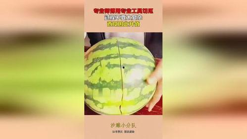 吃西瓜切瓜器视频,轻松切片，夏日美味尽享