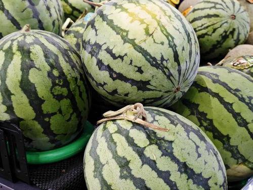 热门电吃瓜视频,娱乐圈幕后真相大曝光！