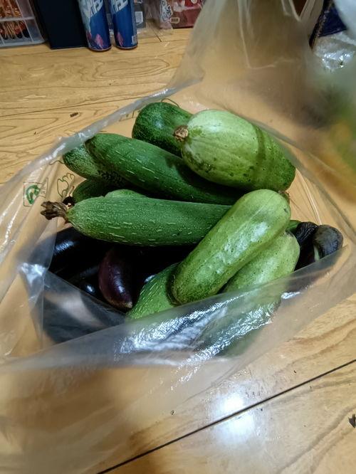 热门电吃瓜视频,娱乐圈幕后真相大曝光！