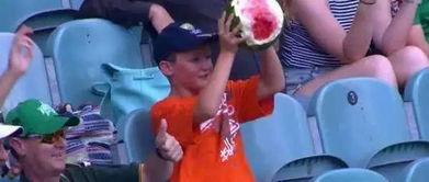 真实吃瓜 小男孩视频下载,童真瞬间引发共鸣