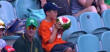 真实吃瓜 小男孩视频下载,童真瞬间引发共鸣