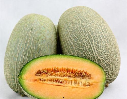 猫吃哈密瓜没事吗视频大全,揭秘猫咪吃哈密瓜的安全性