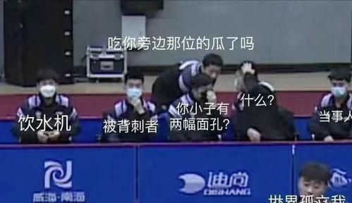 国乒男团吃瓜视频完整版,揭秘赛场背后的欢乐瞬间