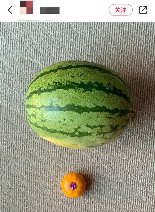 现在吃瓜视频哪里看最多,揭秘吃瓜视频聚集地