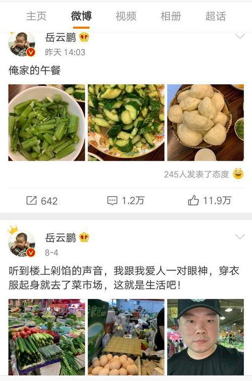 小岳岳吃瓜视频大全下载,笑料横生，欢乐无限