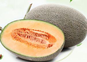 人可以只吃哈密瓜吗视频,揭秘单一饮食的利与弊