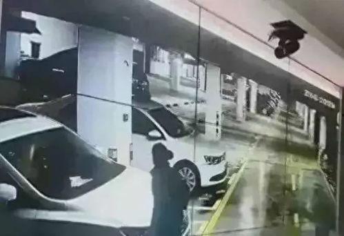 邵阳大汉悦地下停车场吃瓜视频,现场直击，一幕幕引人热议