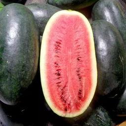 红茄瓜怎么吃最好呢视频,视频教你最佳食用技巧